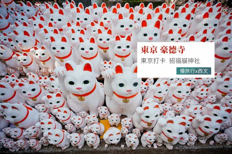 【東京豪德寺2025】打卡招福貓神社一日遊~買回家也可以 1 豪德寺 招福貓神社 12 1