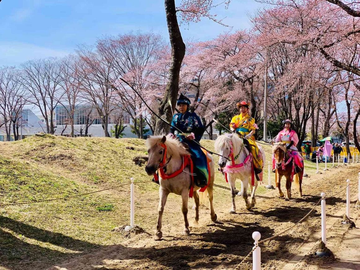 2020年日本櫻花開花預測 十和田市官廳街通1