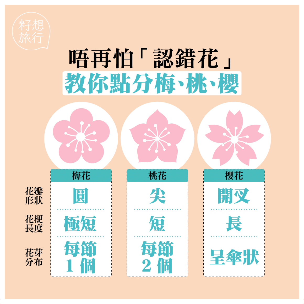2020年日本櫻花開花預測 櫻花、桃花還是梅花