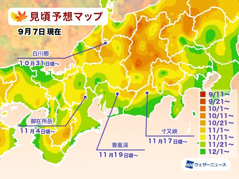 日本賞楓紅葉預測 2023
