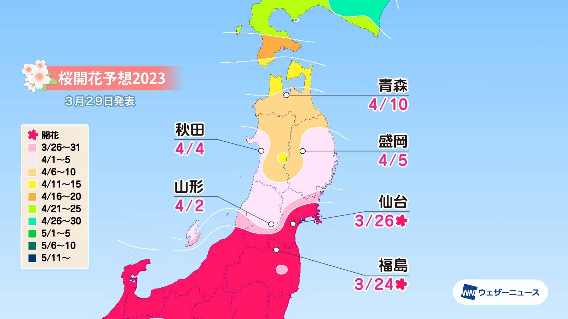 日本櫻花 2023年4月賞櫻前線 10