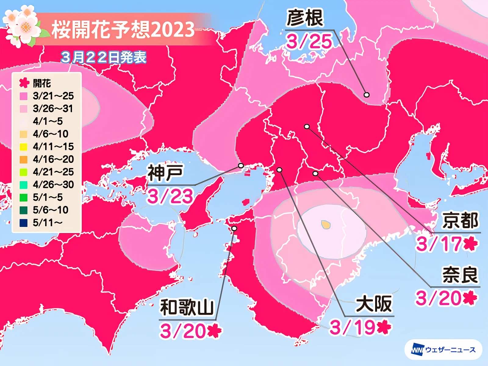 日本櫻花預測2023最新櫻花開花前線 3月24日 1