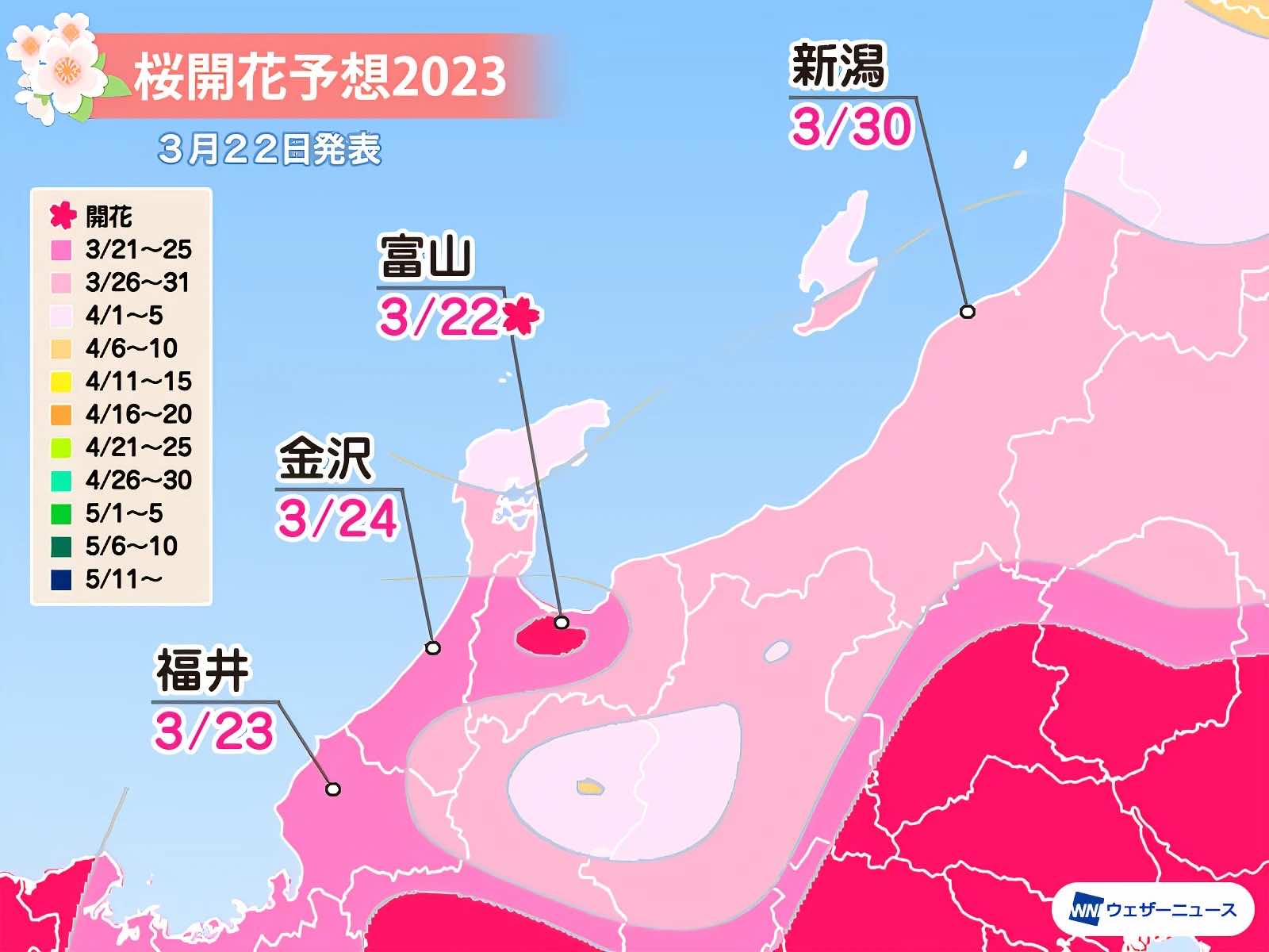 日本櫻花預測2023最新櫻花開花前線 3月24日 5