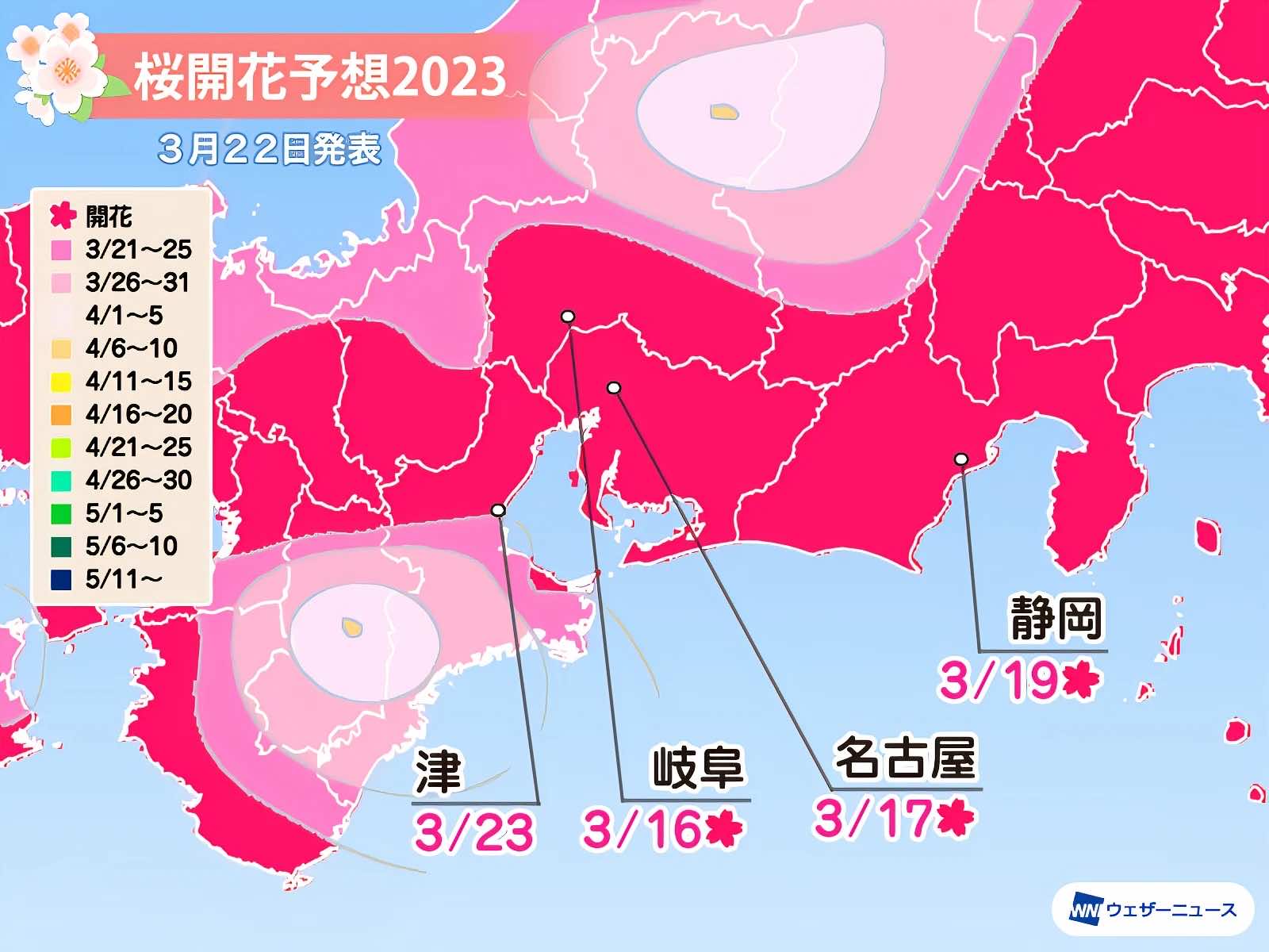 日本櫻花預測2023最新櫻花開花前線 3月24日 6