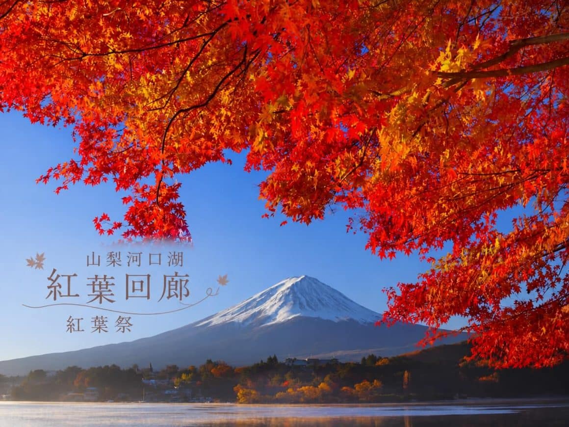 【日本楓葉景點2026】全國賞楓名所推薦|紅葉時間、地區選擇與自由行路線 10 河口湖紅葉回廊與秋季景色