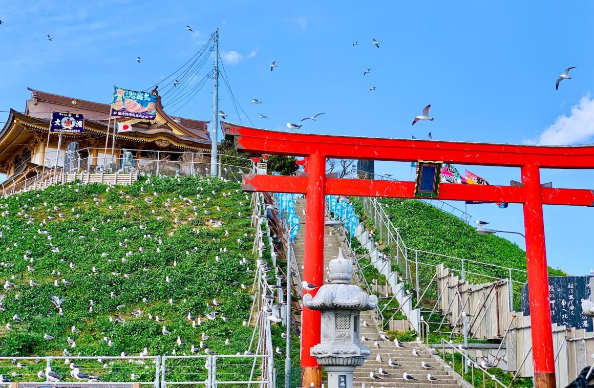 JR EAST PASS JR東日本鐵路周遊券 東北旅行路線 00010